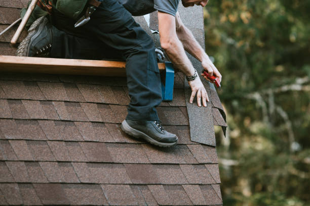 Best Roof Maintenance Services  in Star Valley Ranch, WY
